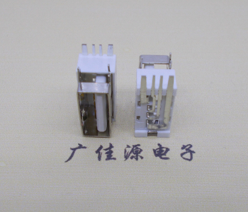 小榄镇USB侧立式短体10.0尺寸 侧插加宽脚5A大电流插座
