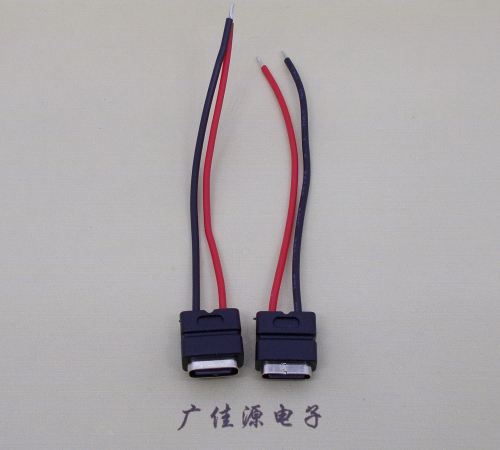 小榄镇type c2p防水母座焊线式带线注塑成型带接线端子/不带接线端子充电连接器